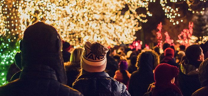 a crowd of people in winter attire outside admiring christmas light display